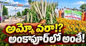 వరి లేకుండానే సిరుల సాగు! అది ఆదర్శ వ్యవసాయ గ్రామం! సంప్రదాయ పంటలుండవు.. అంతా లాభదాయక సాగే..!