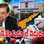 ఆంధ్రప్రదేశ్ స్థానిక సంస్థల ఎన్నికల షెడ్యూల్ విడుదల