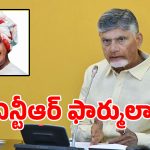 స్థానిక సంస్థల ఎన్నికల్లో టీడీపీ సంచలనం.. మళ్లీ ఎన్టీఆర్ వ్యూహనికి శ్రీకారం?
