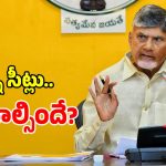 స్థానిక ఎన్నికల వేల నేతలకు సీఎం చంద్రబాబు వార్నింగ్.. ఎమన్నారంటే?