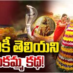 పాముతో పెళ్లి, నదిలో అద్భుతం.. బతుకమ్మ పాటల్లో ఆ పేర్లలో ఉన్న రహస్యం ఇదే!
