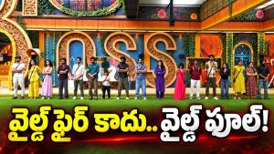 కంటెస్టెంట్స్ కి ఊహించని షాక్.. డేంజర్ జోన్ లో ఆ ఇద్దరే!