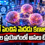 చిన్న మెదడు టిష్యూస్‌తో సంచలన ప్రయోగం.. బయటపడ్డ అసలు ట్విస్ట్ ఇదే!