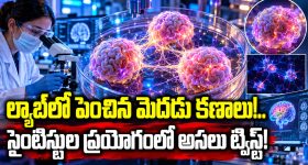 ఈ చిన్నారి ఎవరో గుర్తుపట్టారా.. ఇండస్ట్రీలోకి రాకముందు ఏం చేసేవారంటే?