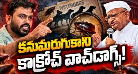 బుచ్చిబాబుపై పవన్ కళ్యాణ్ ఫ్యాన్స్ ఫైర్.. ఆ ఒక్క మాటతో నిప్పు పెట్టేశాడుగా!