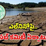 తెలంగాణలో ఎల్‌నినో పరిస్థితుల సమీక్ష కోసం కమిటీ ఏర్పాటు.. సభ్యులగా ఉన్నది వీరే..?