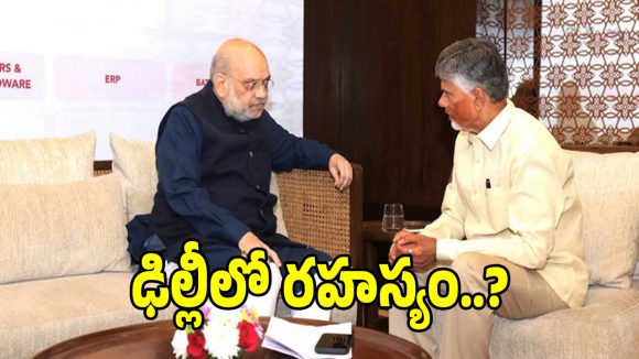 ఢిల్లీ రాజకీయాల్లో పెరిగిన హీట్.. సీఎం చంద్రబాబు అమిత్ షా భేటీ అందుకేనా..?