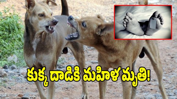 బౌరంపేటలో తీవ్ర విషాదం.. వీధి కుక్క దాడితో మహిళ మృతి!