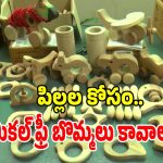 ప్లాస్టిక్, చైనా బొమ్మలు చెక్.. అమరావతి యువకుడి అద్భుత ప్రయోగం?