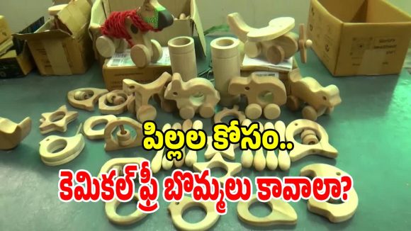 ప్లాస్టిక్, చైనా బొమ్మలు చెక్.. అమరావతి యువకుడి అద్భుత ప్రయోగం?