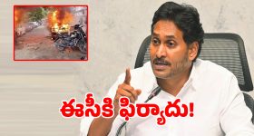 భద్రాద్రి కొత్తగూడెం జిల్లాలో వింత దృశ్యం.. మిరప తోటల్లో సినీ తారల ఫ్లెక్సీలు!