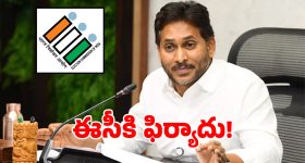 ఒక్కసారి ఇలా రాయలసీమ మటన్ వేపుడు చేసి చూడండి.. మళ్లీ మళ్లీ ఇదే చేసుకుంటారు!