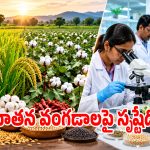ఇదేం విచిత్రం వరికే అగ్రతాంబూలమా.. ఆ పంటలపై వ్యవసాయ పరిశోధకులు శీతకన్ను..?