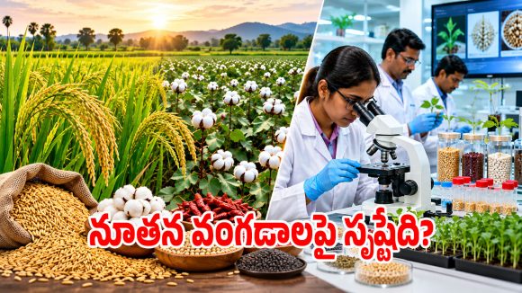 ఇదేం విచిత్రం వరికే అగ్రతాంబూలమా.. ఆ పంటలపై వ్యవసాయ పరిశోధకులు శీతకన్ను..?