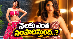 దేత్తడి హారిక నెలకు ఎంత సంపాదిస్తుందో తెలుసా..?