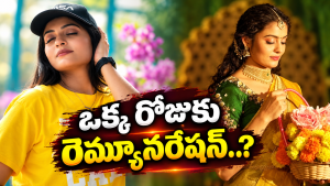 Intinti Ramayanam Meenaakshi : మీనాక్షి ఒక్కరోజు రెమ్యూనరేషన్ అంతా..?