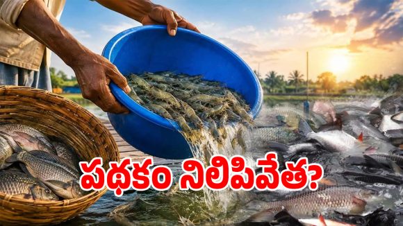 ఎల్ నినో ఎఫెక్ట్.. ఆ ఉచిత పథకంపై తెలంగాణ సర్కార్ నీలినీడలు!