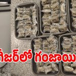 శంషాబాద్ ఎయిర్‌పోర్ట్‌లో భారీగా గంజాయి పట్టివేత.. ఎలా దోరికాడో తెలుసా..?