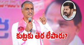 కూరగాయల కోసం కొంటె కుందేలు పోరాటం... పిల్లలతో కలిసి ఎంచక్కా చూడదగ్గ యానిమేషన్ కామెడీ