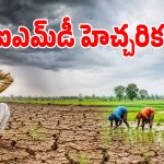 దేశంలో 13 శాతం వర్షపాతం లోటు.. ఆహార భద్రతపై నిపుణులు ఆందోళన!