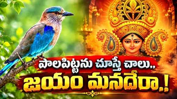 పాలపిట్ట దర్శనం.. విజయానికి సంకేతం! పాలపిట్టతో తెలంగాణకు విడదీయలేని అనుబంధం..! పురాణాలేం చెబుతున్నాయి?
