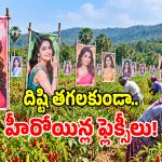 భద్రాద్రి కొత్తగూడెం జిల్లాలో వింత దృశ్యం.. మిరప తోటల్లో సినీ తారల ఫ్లెక్సీలు!