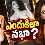 గ్లామర్‌తో అదరగొడుతోంది.. కానీ సినిమాల సంగతేంటి నభా?