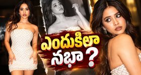 తమిళనాడు సీఎం విజయ్ ను కలిసిన విజయ్ దేవరకొండ రష్మిక దంపతులు!