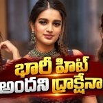 పవన్.. ప్రభాస్.. ఇద్దరి పక్కన ఛాన్స్! నిధి లెక్క ఎప్పుడు మారుతుందో?