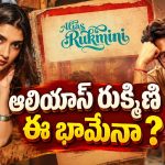 నితిన్ భార్యగా చేస్తున్న రుక్మిణి ఎవరో తెలుసా?