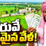 వరి ఉరి కాదు.. వరమై! పొరుగు రాష్ట్రాల్లో తగ్గిన వరిసాగు విస్తీర్ణం.. తెలంగాణలో 56 లక్షల ఎకరాల్లో సాగు.. ఎగబడి మన వడ్లు కొంటున్న పొరుగు రాష్ట్రం వ్యాపారులు..!