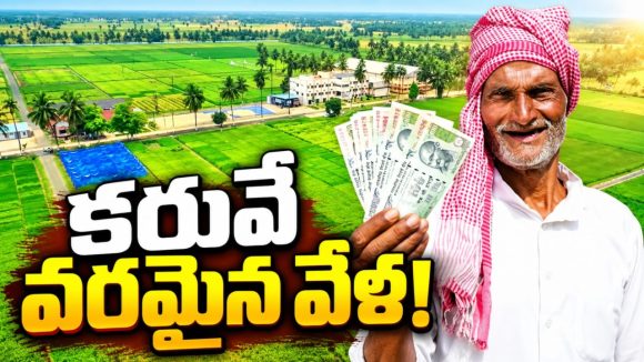 వరి ఉరి కాదు.. వరమై! పొరుగు రాష్ట్రాల్లో తగ్గిన వరిసాగు విస్తీర్ణం.. తెలంగాణలో 56 లక్షల ఎకరాల్లో సాగు.. ఎగబడి మన వడ్లు కొంటున్న పొరుగు రాష్ట్రం వ్యాపారులు..!