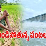 హామీ ఇచ్చి నీళ్లు ఆపేశారా.. జూరాల ప్రాజెక్టుపై ఆశతో ఎదరుచూస్తున్న అన్నదాతలు!