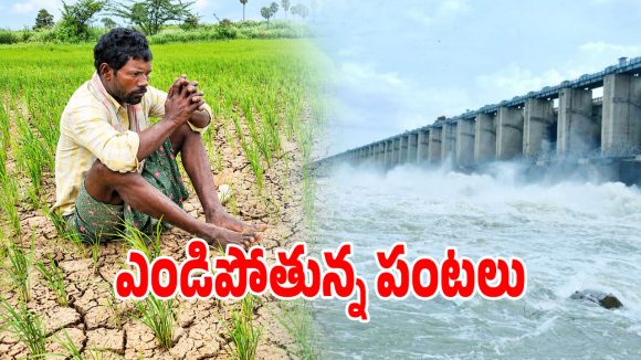 హామీ ఇచ్చి నీళ్లు ఆపేశారా.. జూరాల ప్రాజెక్టుపై ఆశతో ఎదరుచూస్తున్న అన్నదాతలు!