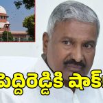 మాజీ మంత్రి పెద్దిరెడ్డికి సుప్రీంకోర్టులో ఎదురుదెబ్బ.. ఆ భూముల కేసులో జోక్యానికి నో!