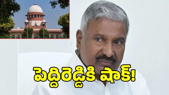 మాజీ మంత్రి పెద్దిరెడ్డికి సుప్రీంకోర్టులో ఎదురుదెబ్బ.. ఆ భూముల కేసులో జోక్యానికి నో!