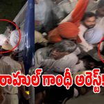 ఢిల్లీలో హైటెన్షన్.. రాహుల్ గాంధీ అరెస్ట్!