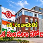 ఏపీ ఎన్నికల చరిత్రలోనే ఎన్నడూ లేని విచిత్రం.. ఒకే గ్రామం నుంచి జెడ్పీటీసీ, ఎంపీపీ ఎన్నిక!