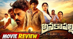 ప్రెజర్ కుక్కర్‌లో ఈ 5 వంటలు అసలు చేయకూడదు.. ఈ ఫుడ్స్‌తో జాగ్రత్త