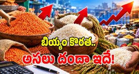 భారీగా పెరిగిన సోనా మసూరి, బీపీటీ బియ్యం ధరలు.. క్వింటల్ ఎంతో తెలుసా?