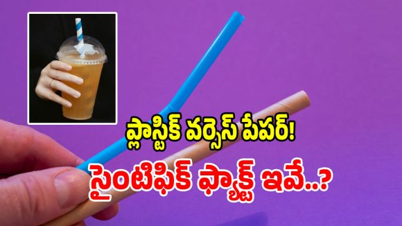 పేపర్ స్ట్రా లు నిజంగా మంచివేనా.. దక్షిణ కొరియా అధ్యయనంలో తేలిన సంచలనాలివే?