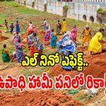 ఉపాధి హామీ పనుల్లో సంచలన రికార్డ్.. గత ఐదేళ్లలో ఇదే టాప్ హజరు శాతం