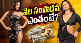 భారత్‌ పై విన్‌ఫాస్ట్ ఫుల్ ఫోకస్.. తెలంగాణ, ఏపీలోనూ షోరూమ్‌లు!
