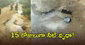 కేసీఆర్‌ ఉన్నప్పుడే గౌరమ్మా..! బతుకంతా పచ్చగ ఉండే గౌరమ్మా..! రెండు పాటలను విడుదల చేసిన బీఆరెస్‌ పార్టీ..!